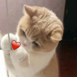 男同桌脱我小内内玩我全身微博
